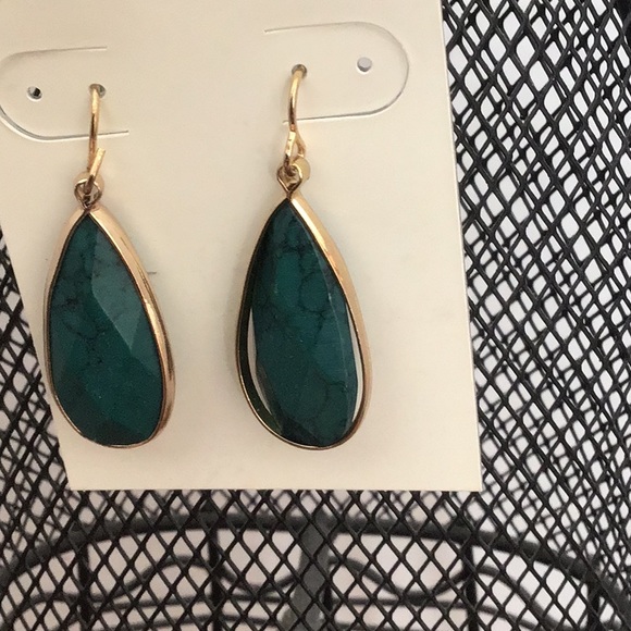 Francesca's Collections Jewelry - NWT  francesca’s Jade Teardrop Earrings